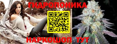 герыч Можга